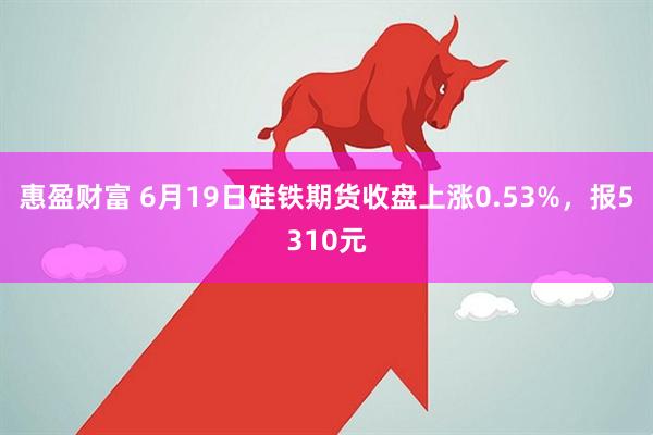 惠盈财富 6月19日硅铁期货收盘上涨0.53%，报5310元