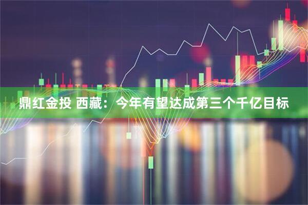 鼎红金投 西藏：今年有望达成第三个千亿目标
